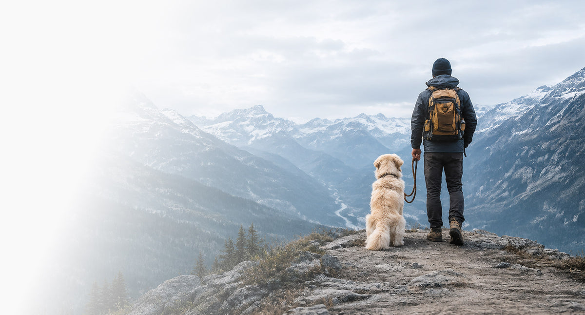 A person and dog overlooking a Norwegian mountain landscape