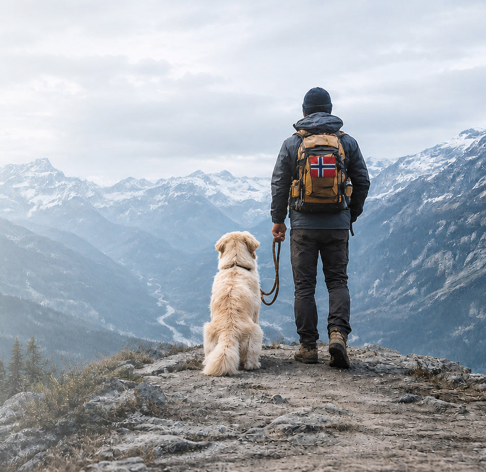 A hiker and dog in the Norwegian mountains